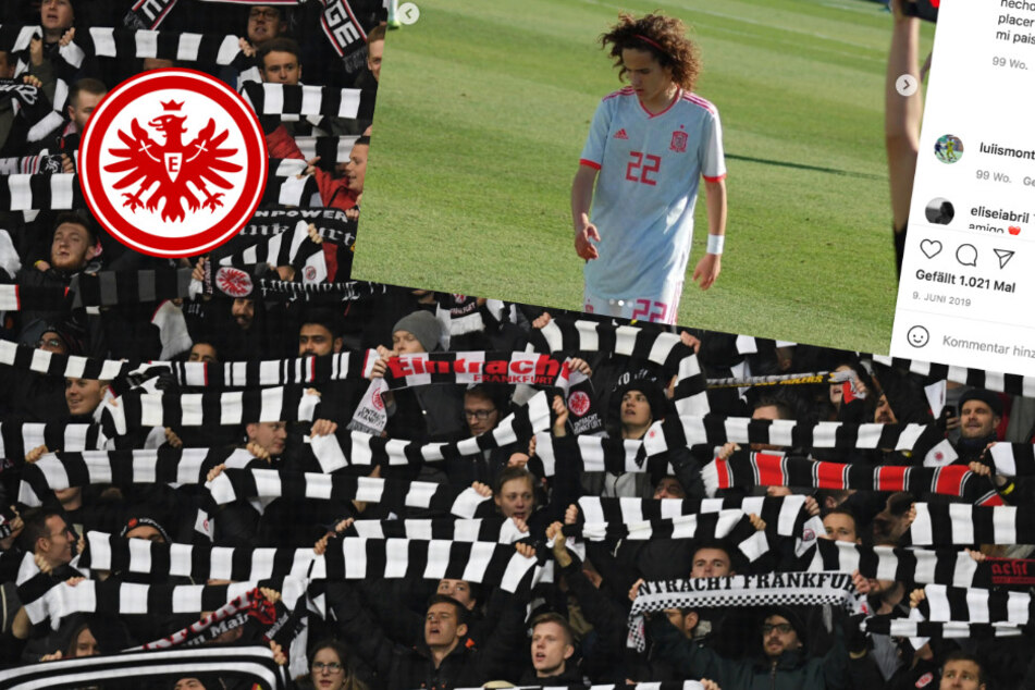 Sticht die Eintracht den FC Bayern, den BVB und Barca im Kampf um Jahrhunderttalent aus?