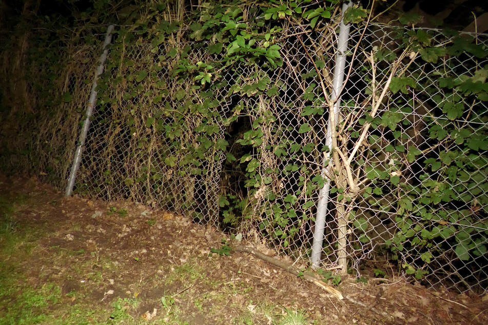 In Wesel am Niederrhein gab es in der Nacht einen Einsatz an einem Umspannwerk.