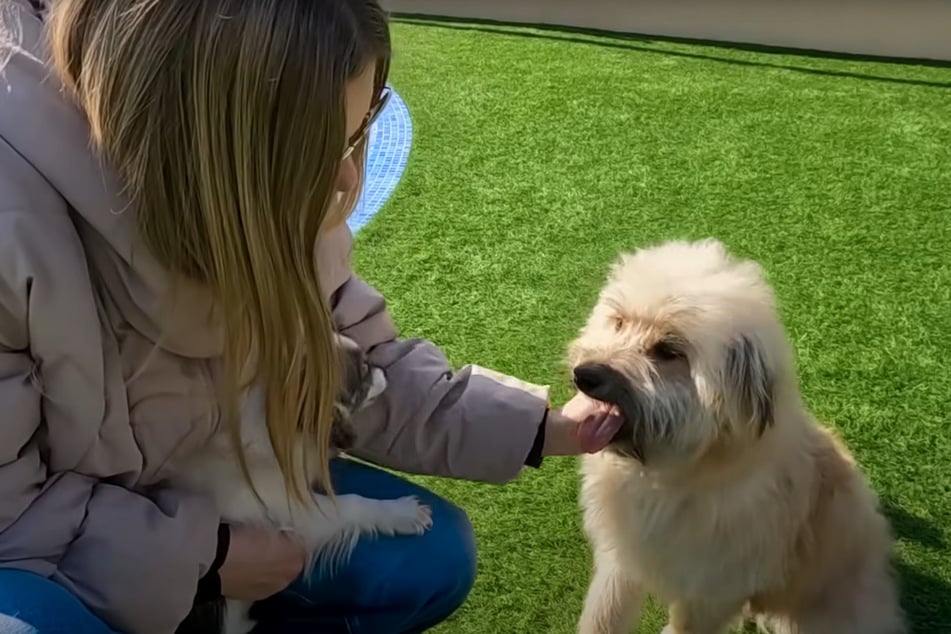 Viel fluffiger und glücklicher: Pusha ist bei Olena in besten Händen.