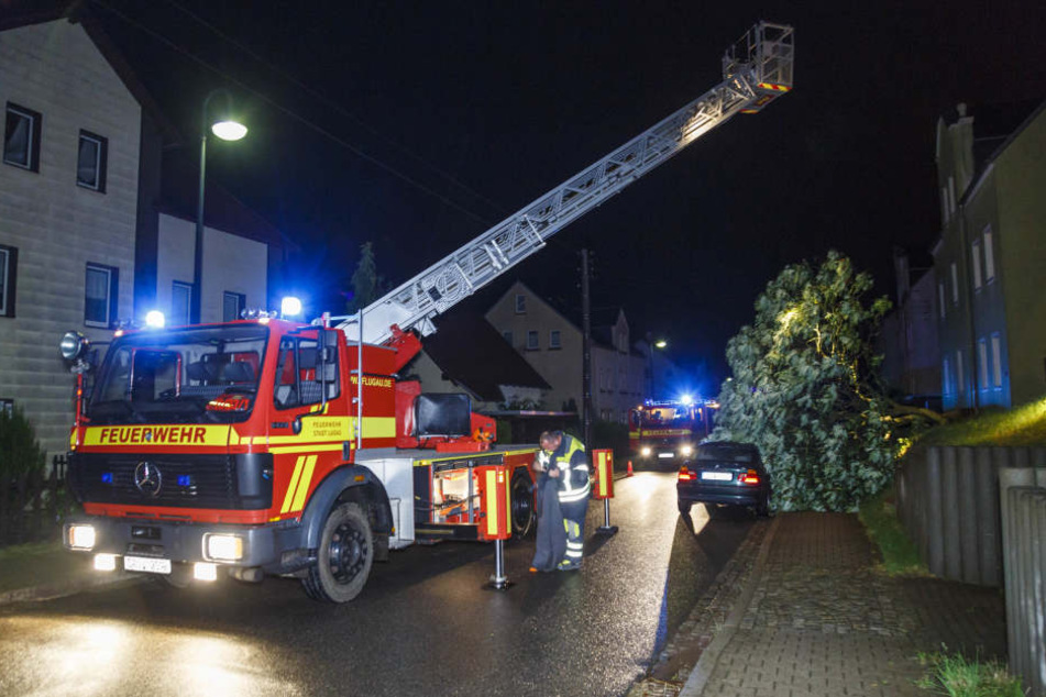 In Lugau wurde ein Auto durch einen abgeknickten Baum beschädigt.