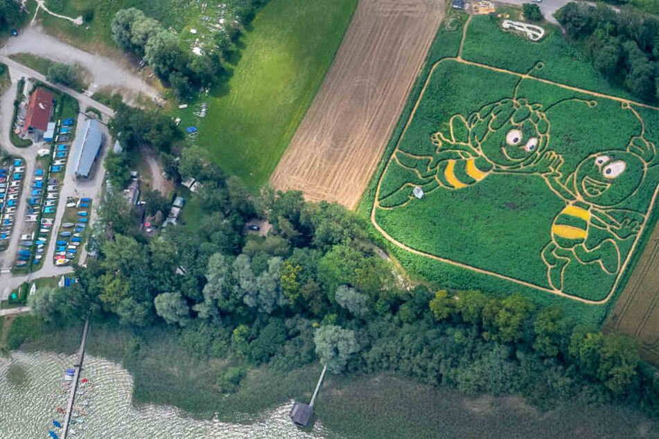 Besucher sollen offiziell ab dem 16. Juli bis Ende September ihren Weg suchen können.