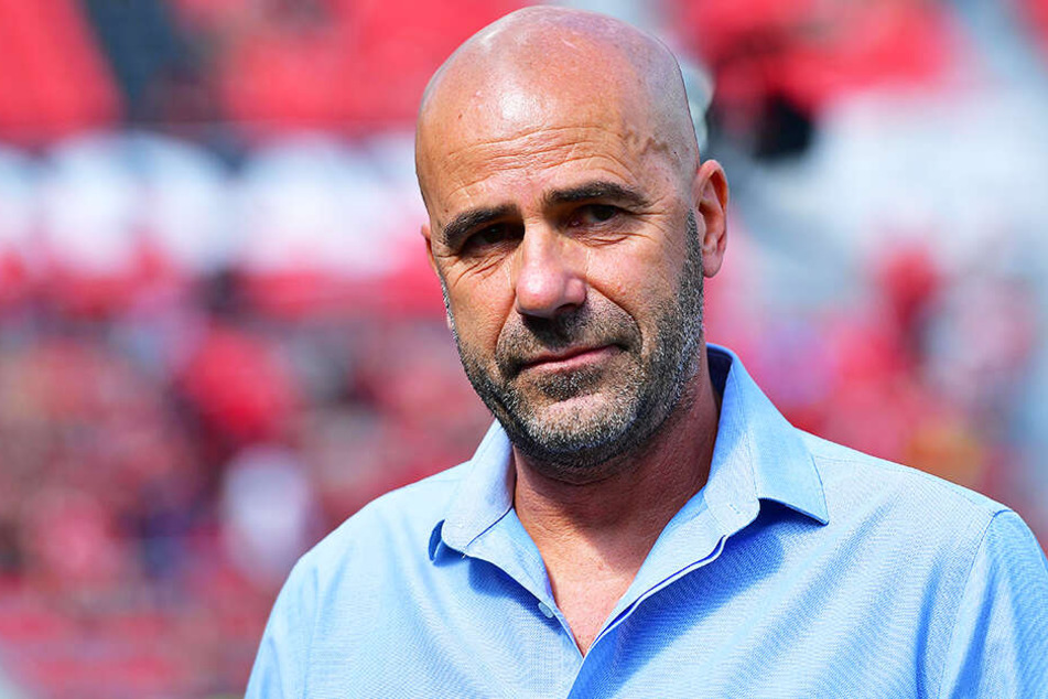 Bayer Leverkusens Coach Peter Bosz glaubt an einen Sieg der DFB-Auswahl im Duell mit seinem Heimatland.