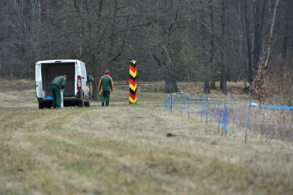 Arbeiter errichten entlang der deutsch-polnischen Grenze einen Schutzaun.