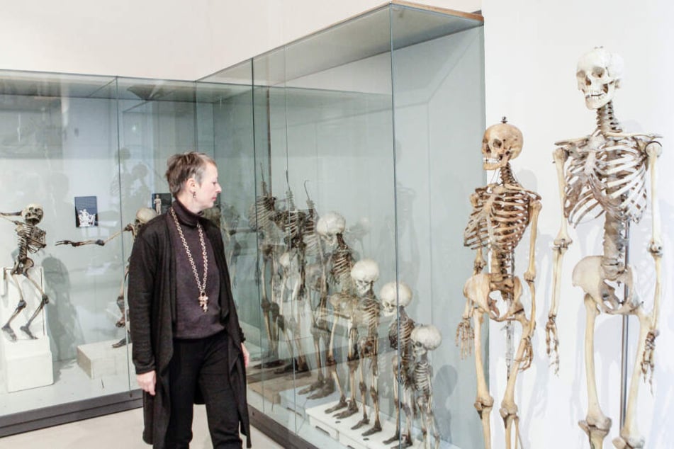 An diesen Skeletten studierten angehende Künstler den menschlichen Körper.