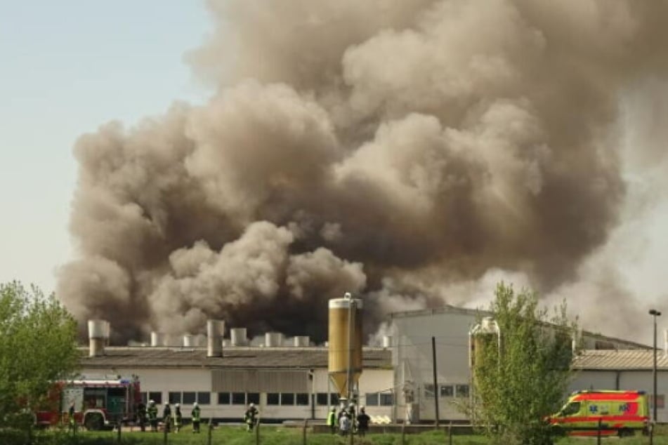 Nach dem Großbrand in einer Mastanlage am Sonntag soll am Dienstag mit der Ursachenermittlung begonnen werden.