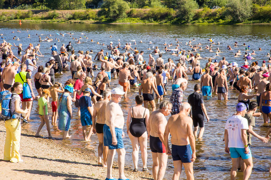 Rund 1800 Teilnehmer wurden beim 25. Elbeschwimmen gezählt - Rekord!