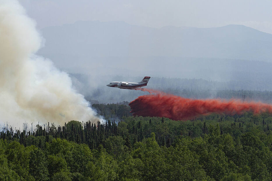 Vor wenigen Tagen musste bereits ein Conair Flugzeit eingesetzt werden, um feuerhemmendes Mittel auf ein Lauffeuer in der Nähe des Montana Creek zu löschen.