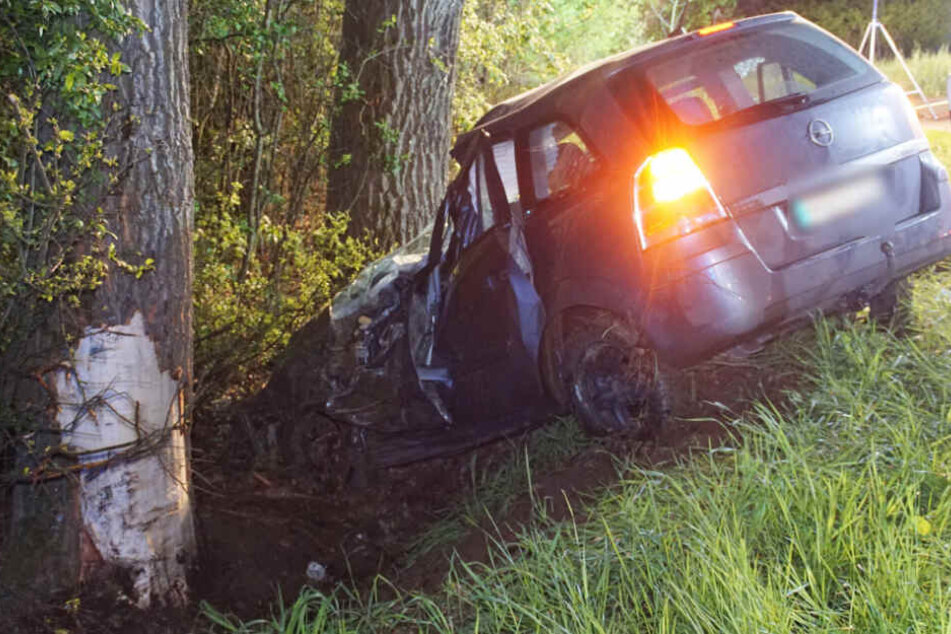 Der Zafira krachte schließlich gegen diesen Baum.