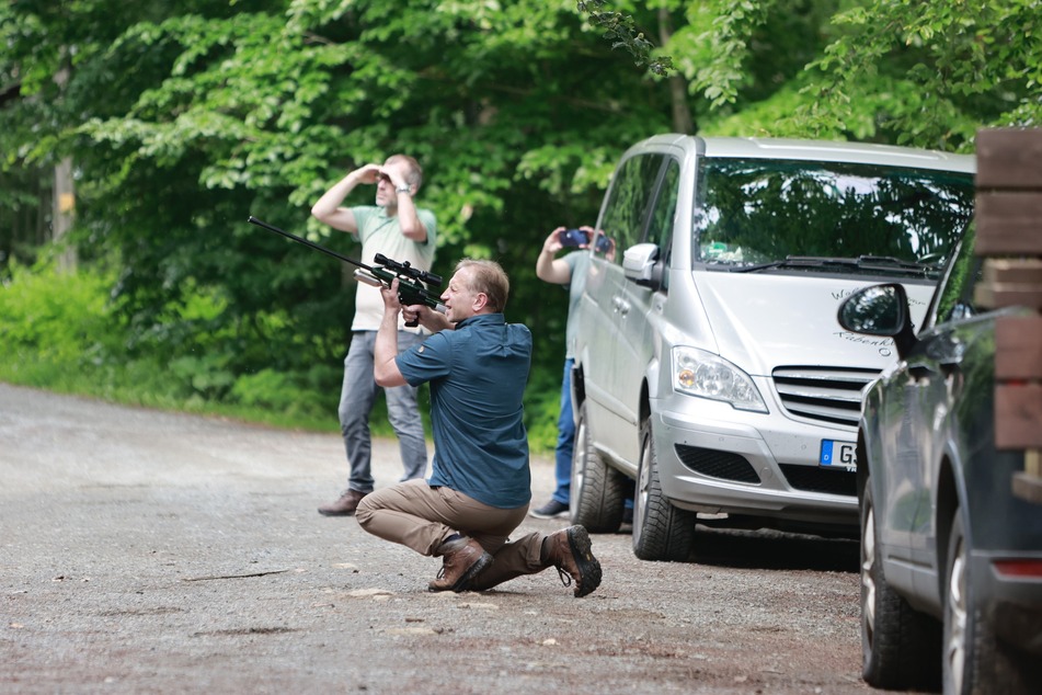 Ole Anders (m.) vom Nationalpark Harz zielt mit einer Waffe auf den ausgebüxten Luchs. Ein Narkosepfeil soll das Tier ermüden.