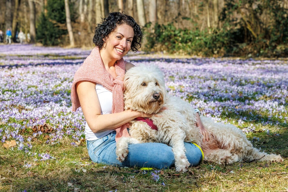 Einat Ditze (44) entspannte sich am Wochenende im Großen Garten - und schor dort ihren Goldendoodle Yofi (2).