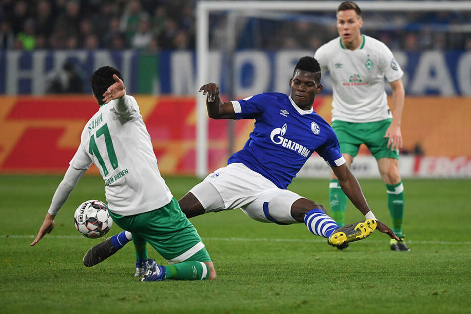 Voller Körpereinsatz: Breel Embolo von Schalke und Nuri Sahin (l.) von Bremen im Zweikampf um den Ball.