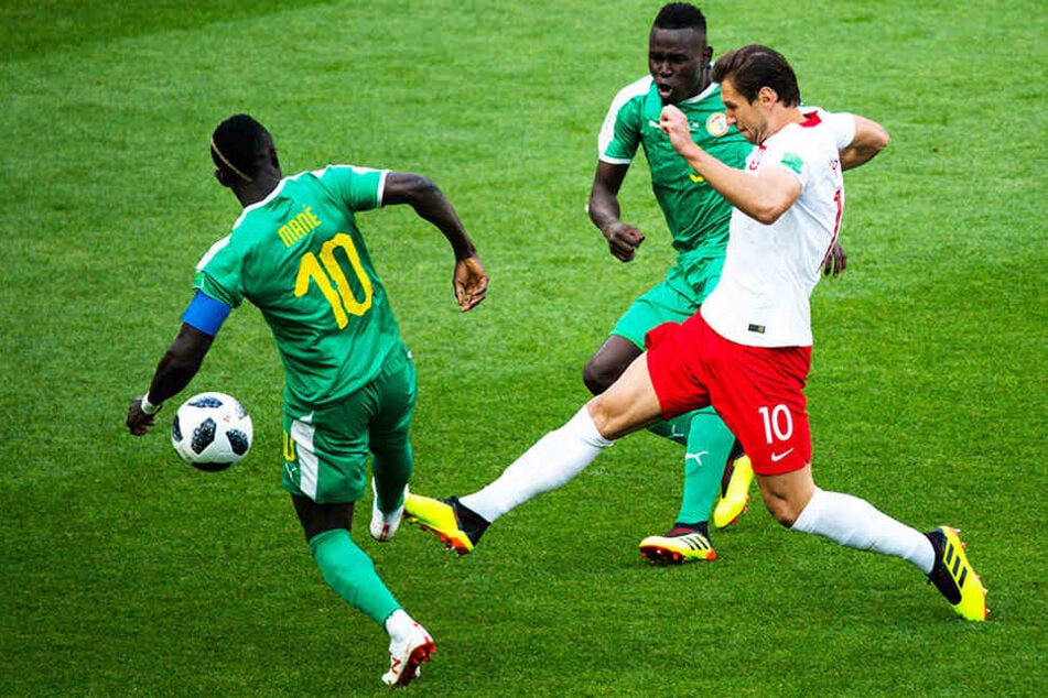 Polens Grzegorz Krychowiak kämpft mit Senegals Kapitän Sadio Mane (l.) und dem früheren Hannover-96-Stürmer Mame Biram Diouf (hinten) um den Ball.