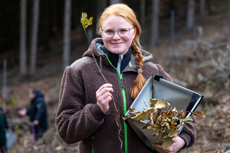Forstwirtin Lisa Heinrich (23) wird auf der Karlshöhe weitere Eichen, Winterlinden und Hainbuchen aufforsten.