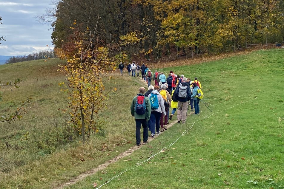 Abseits von Dating-Plattformen schafft "Date im Grünen" echte Begegnungen in der Natur.
