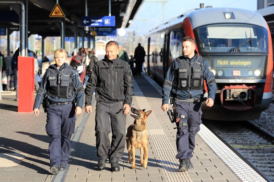 Da der Besitzer des Koffers nicht ausfindig gemacht werden konnte, wurde ein Sprengstoffspürhund angefordert. (Archivbild)