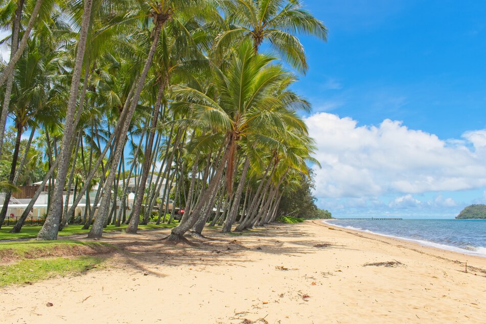 Palm Cove in Queensland, Australia was named the best beach in the world by the Conde Nast Traveler magazine.