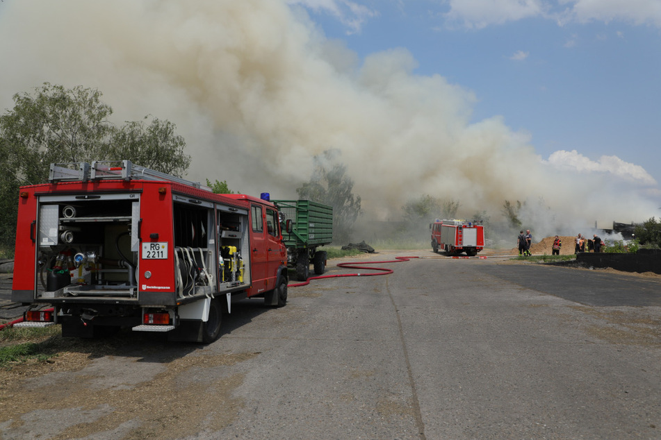 Insgesamt sind 144 Kameraden im Einsatz.