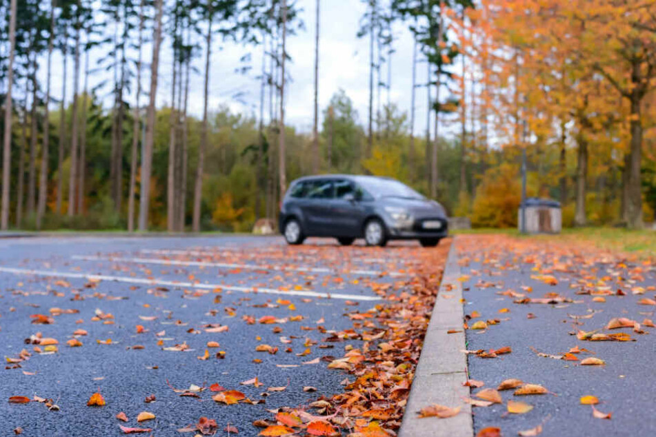 Tatort soll ein Waldparkplatz in Hamburger Stadtteil Eißendorf gewesen sein.