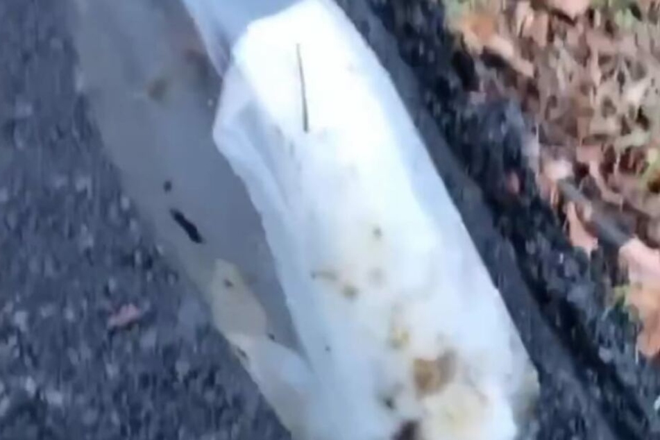 Bei Instagram postete Bianca Claßen ein Video des Flaschenfundes.