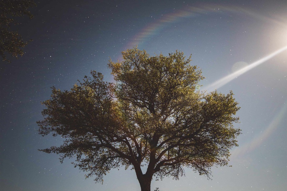 Have you ever seen a moonbow?