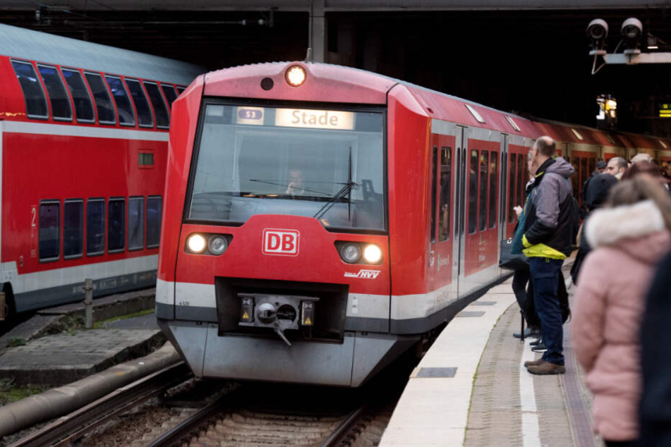 Am Hamburger Hauptbahnhof und in einer S-Bahn ging ein Mann mit einem Dildo auf Frauen los. (Archivbild)