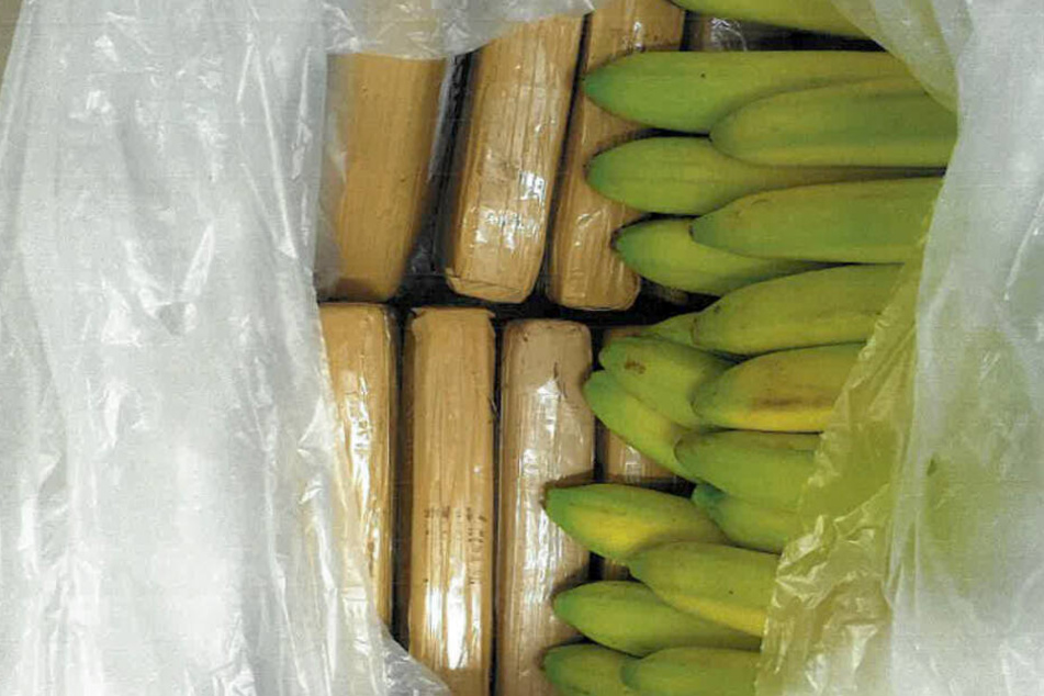 Die Drogen steckten in den Bananenkisten.