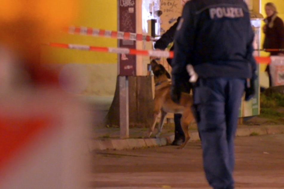 Ein Spürhund der Polizei kam ebenfalls in dem abgesperrten Areal zum Einsatz.