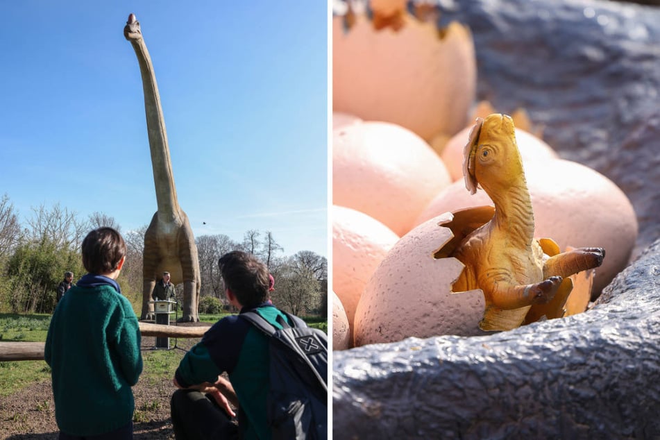 Auch der gewaltige Brachiosaurus (l.) und frisch geschlüpfte Dino-Babys sind im Tierpark in Lebensgröße von Klein und Groß zu bestaunen.