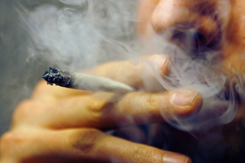 Polizisten fahren zur falschen Adresse und entdecken zwei Meter große Cannabispflanze