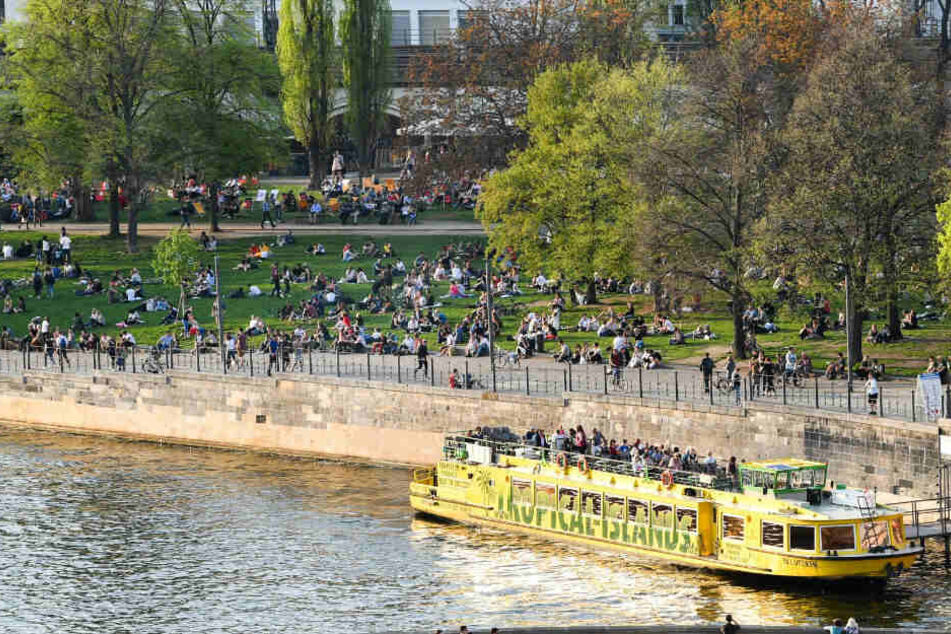 Blick vom Dach des Berliner Doms in nördlicher Richtung auf die Spree und den James-Simon-Park in Berlin-Mitte. (Archivbild)