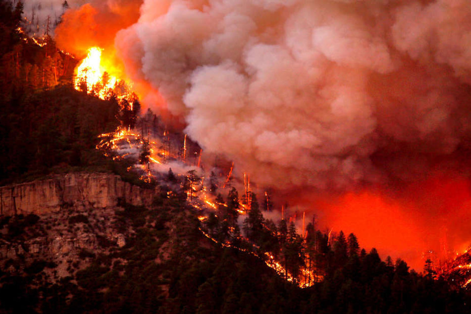 Im US-Bundesstaat Colorado müssen Menschen vor einem Waldbrand fliehen.