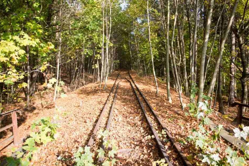 Die Gleise liegen noch, auch wenn seit 13 Jahren keine Züge mehr fahren. Aus der ehemaligen Bahnstrecke soll ein Radweg werden.