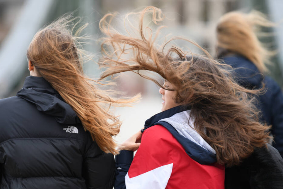 Bis zu 60 Kilometer die Stunde werden erwartet (Symbolfoto).