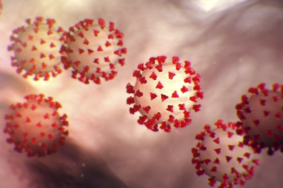 Das Coronavirus Sars-CoV-2 könnte aus Italien erneut nach Bayern gelangen. (Archiv)
