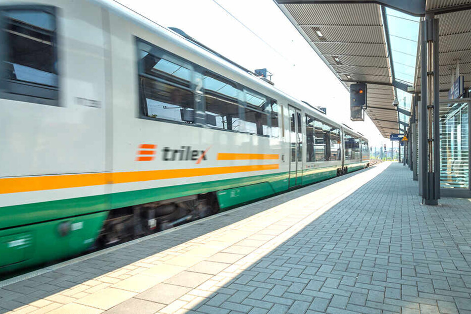 Als der Besitzer nicht aufpasste, nahm der Hund die nächste Länderbahn.