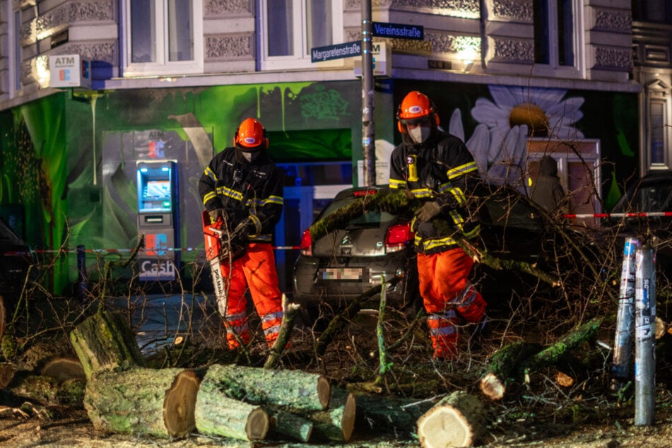 Feuerwehrleute beseitigen den umgekippten Baum in Eimsbüttel.