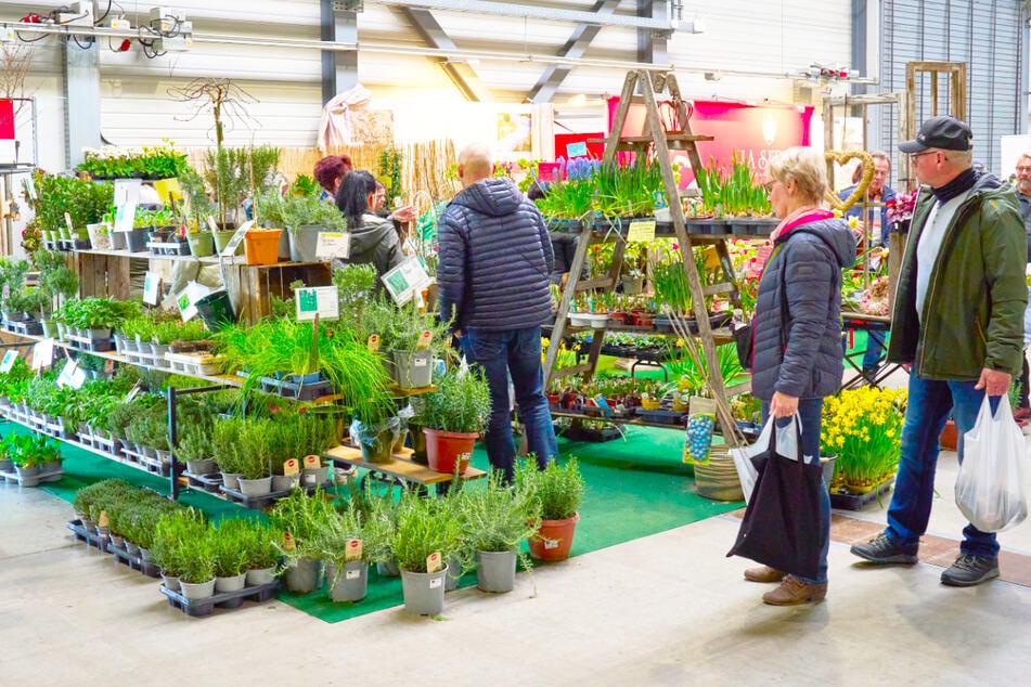 Drei Tage lang begeistert die Gartenträume 2026 in der HALLE MESSE mit jeder Menge grüner Ideen.