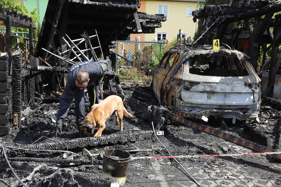 Auch Spürhunde kommen zum Einsatz.
