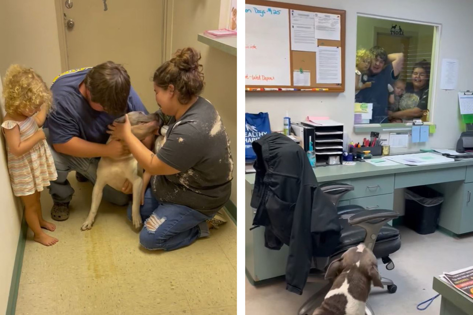 When dog and family met again, there was no stopping them.