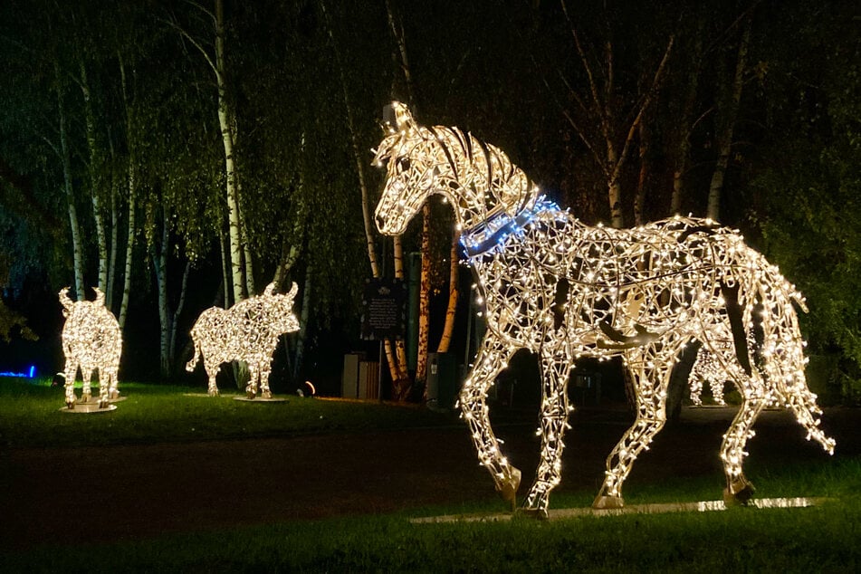 Die glitzernden Lichtinstallationen sind liebevoll gestaltet und sogar interaktiv.