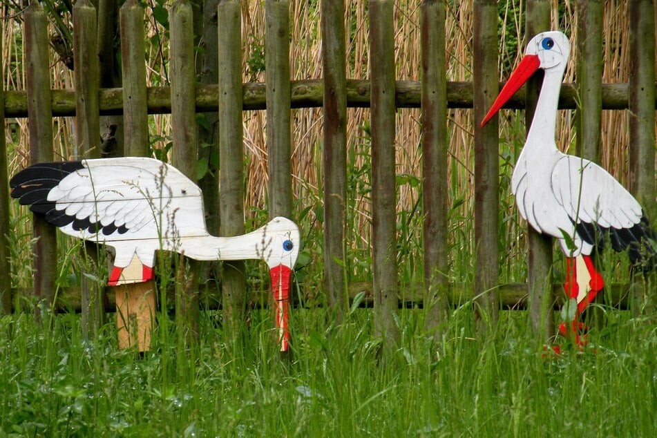 Für Flora und Fauna wird es dann eng!
