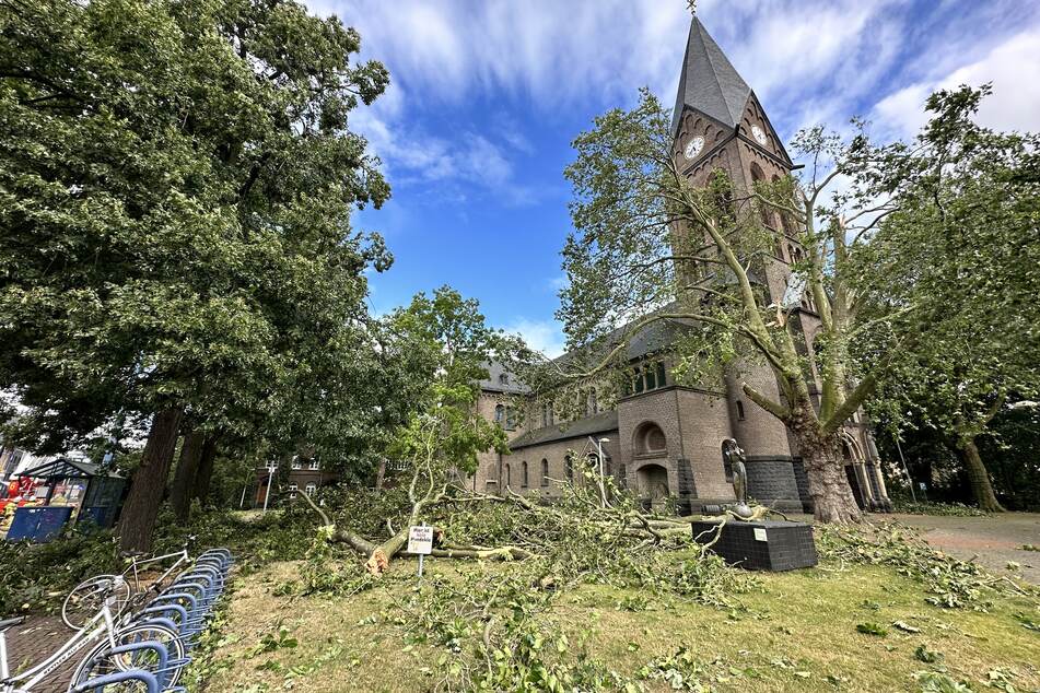 In Frechen stürzte ein Baum nahe der örtlichen Kirche um.