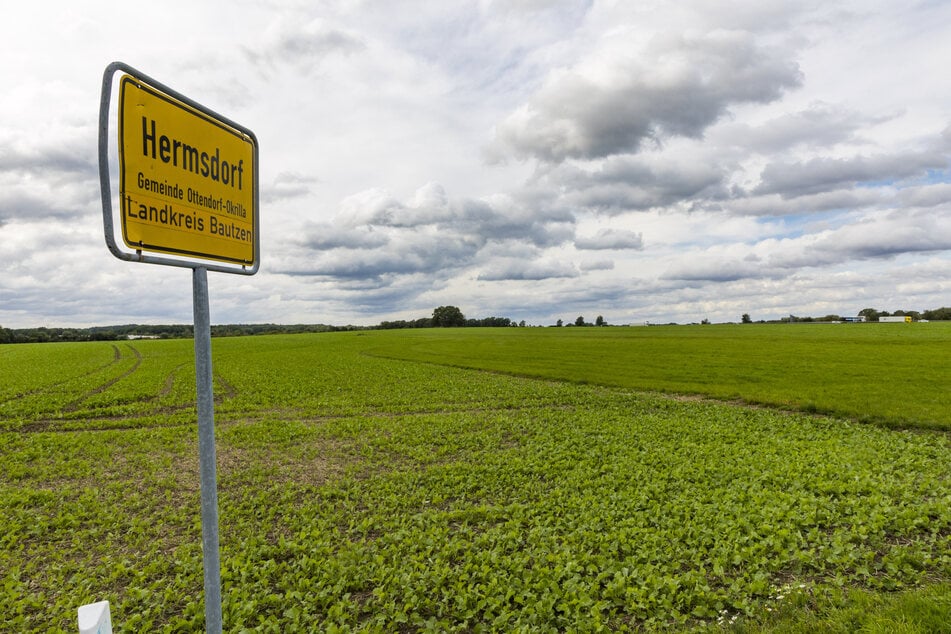 Auf diesen Flächen an der Grenze zu Ottendorf-Okrilla (Ortsteil Hermsdorf) könnte zusätzlicher Platz für Gewerbetreibende entstehen.
