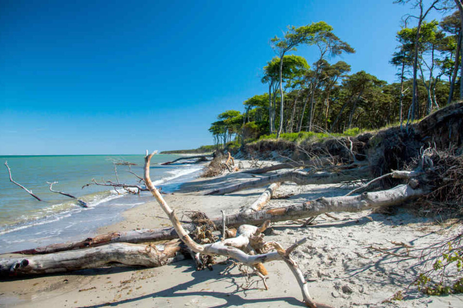 Urlauber entdeckten den Mann im Bereich des Nationalparks bei Zingst. (Archivbild)