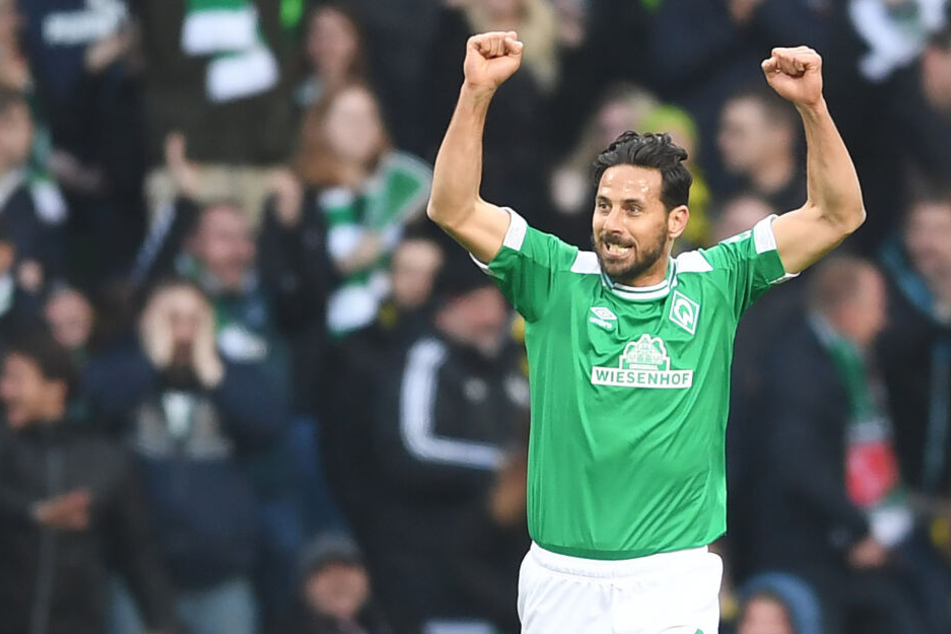 Am 20. Juli trifft der 1. FC Köln in einem Testspiel auf Werder Bremen mit Claudio Pizarro (40).