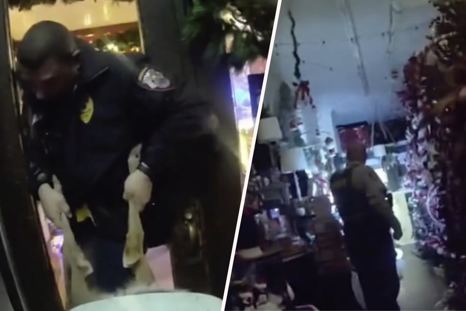 Auf Route verirrt? Tierischer Besucher löst Polizeieinsatz in Weihnachtsgeschäft aus