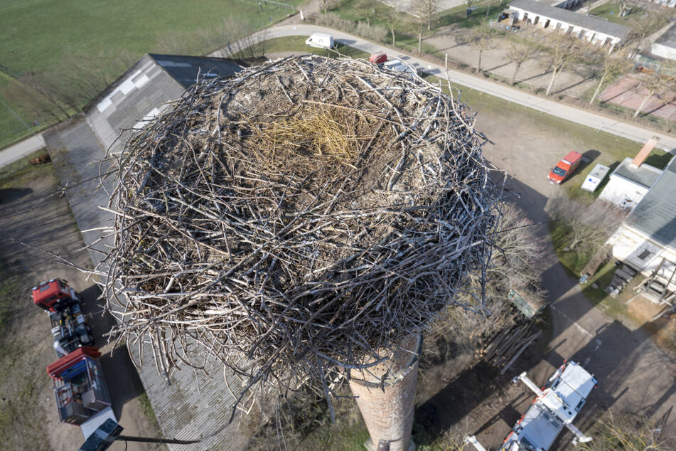 Ein Storchennest auf einem Kamin auf dem Mundenhof: Das Nest mit 1100 Kilo stellte eine echte Gefahr dar.