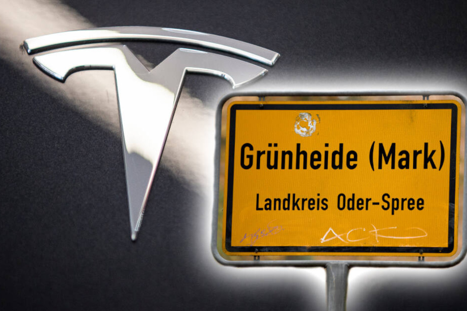 Die neue Tesla-Fabrik in Grünheide soll schon 2021 eröffnen. (Bildmontage)