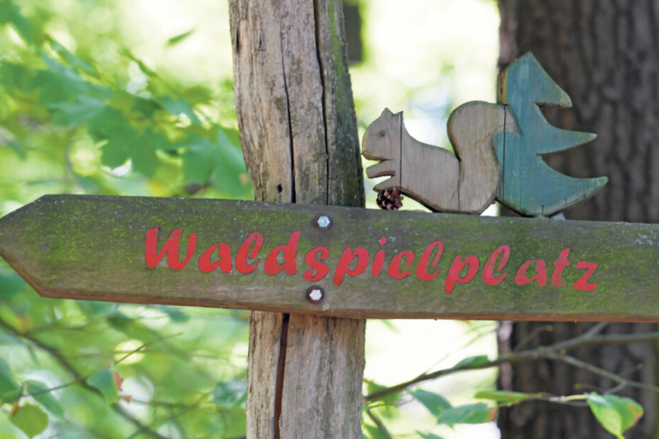 Der Waldspielplatz im Albertpark könnte von der "Dynamo-Million" profitieren.