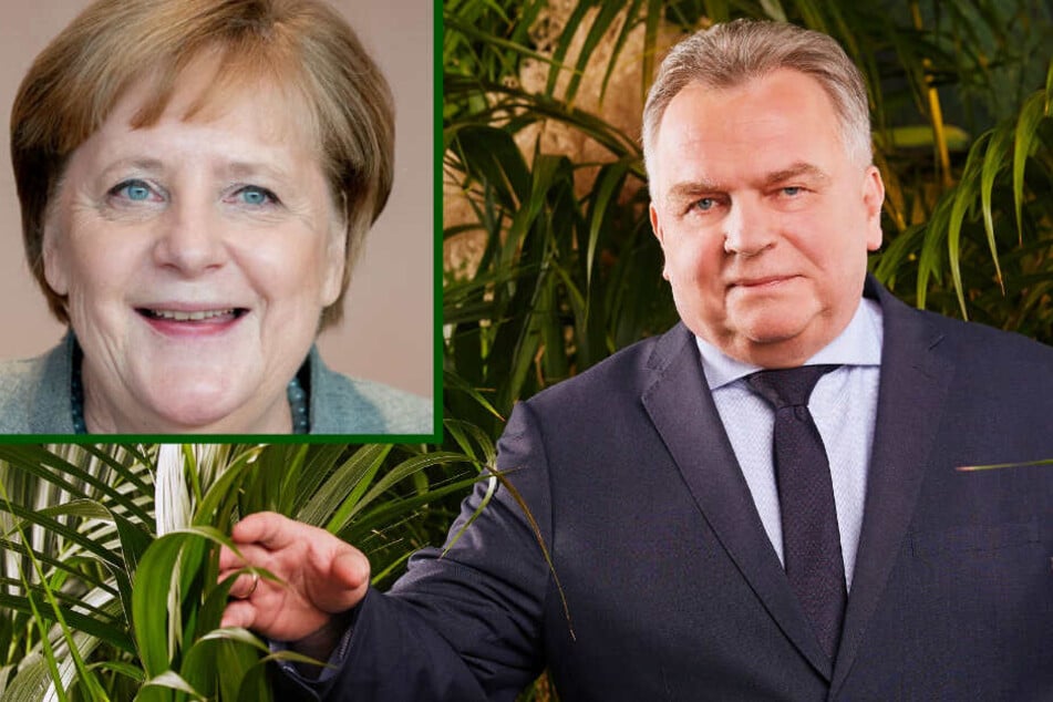 Dschungelcamp: Kanzlerin Merkel gab FKK-Günni das Camp-Okay